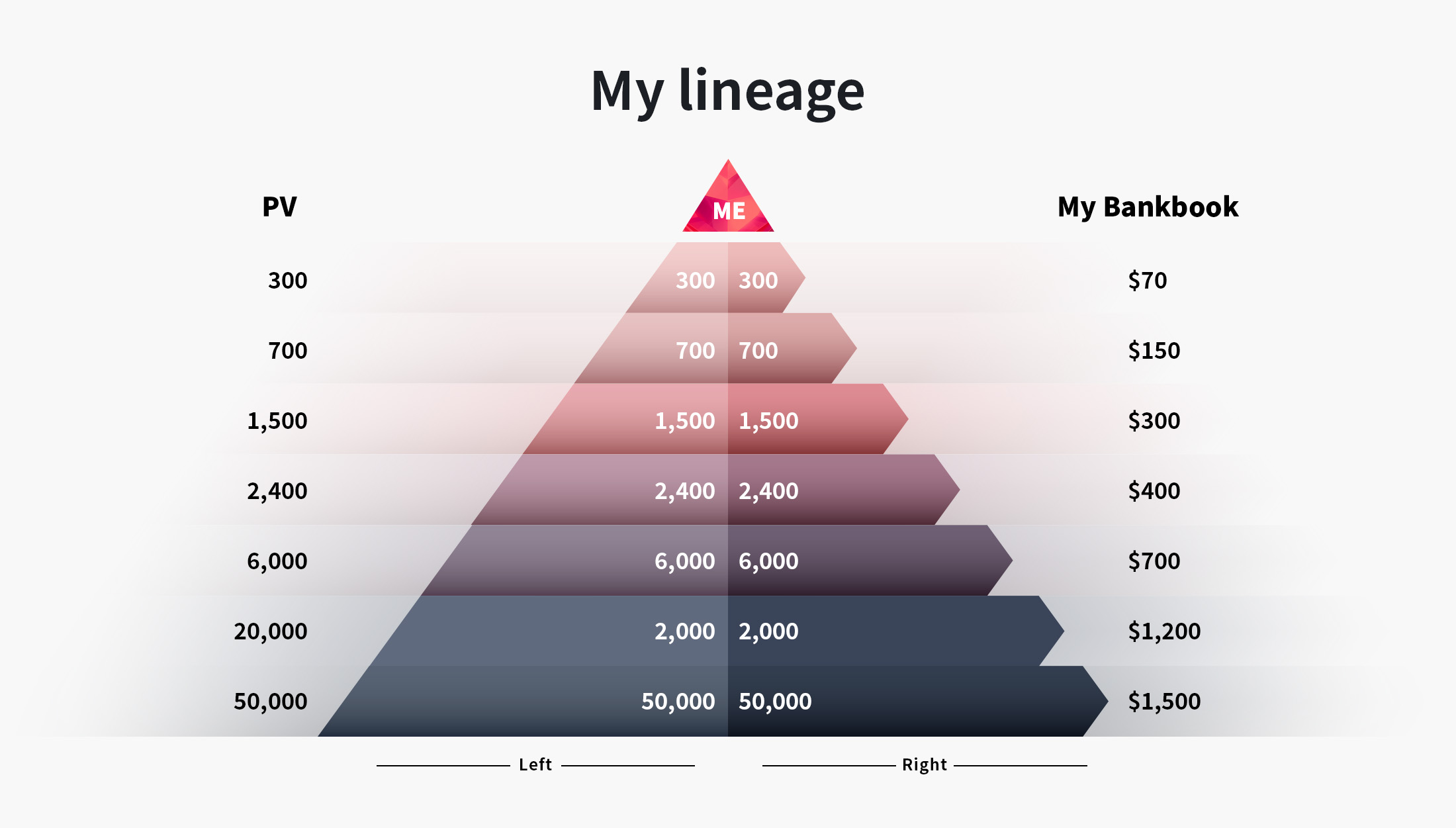 shop_My Line Organization Chart